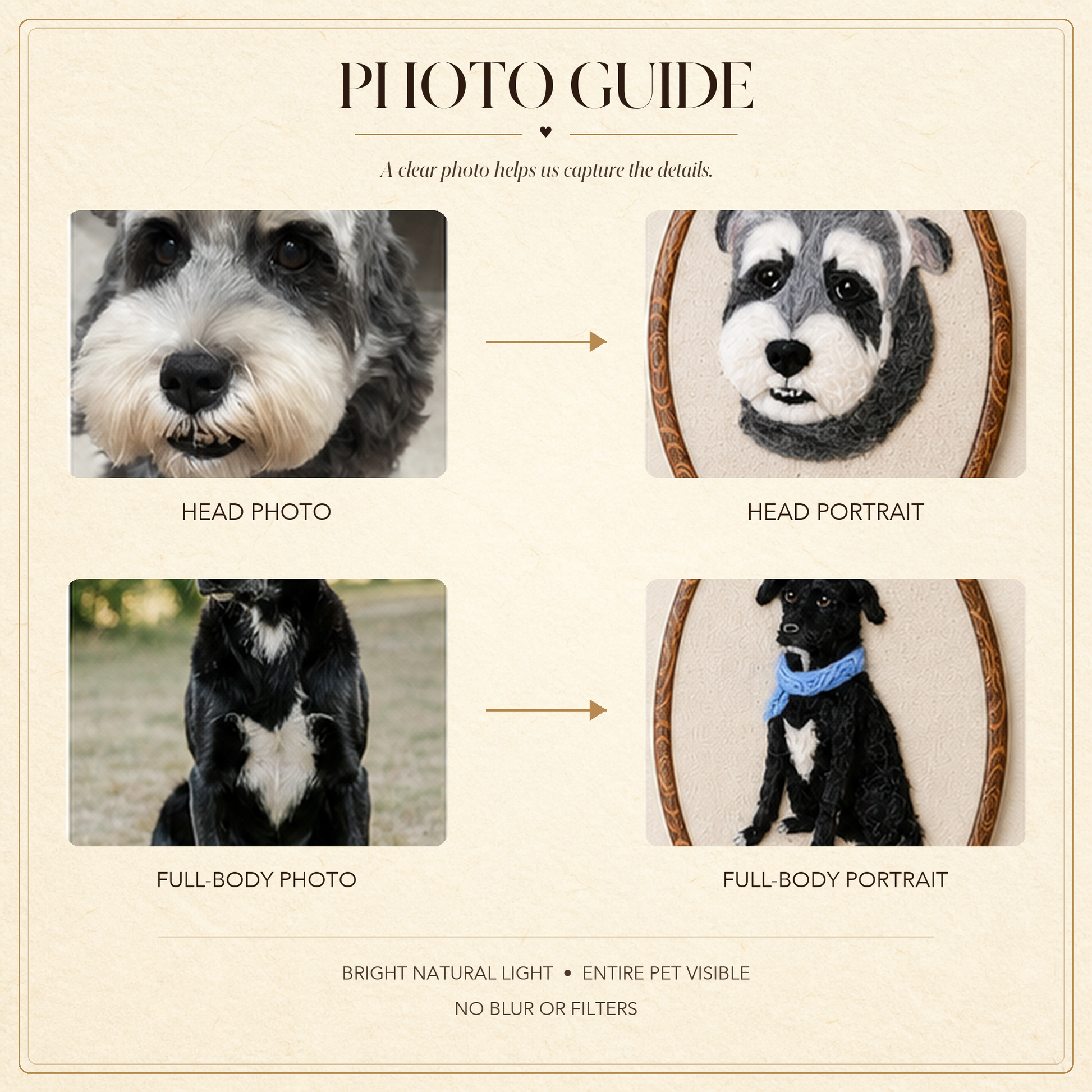 Photo guide for head and full-body custom pet portraits