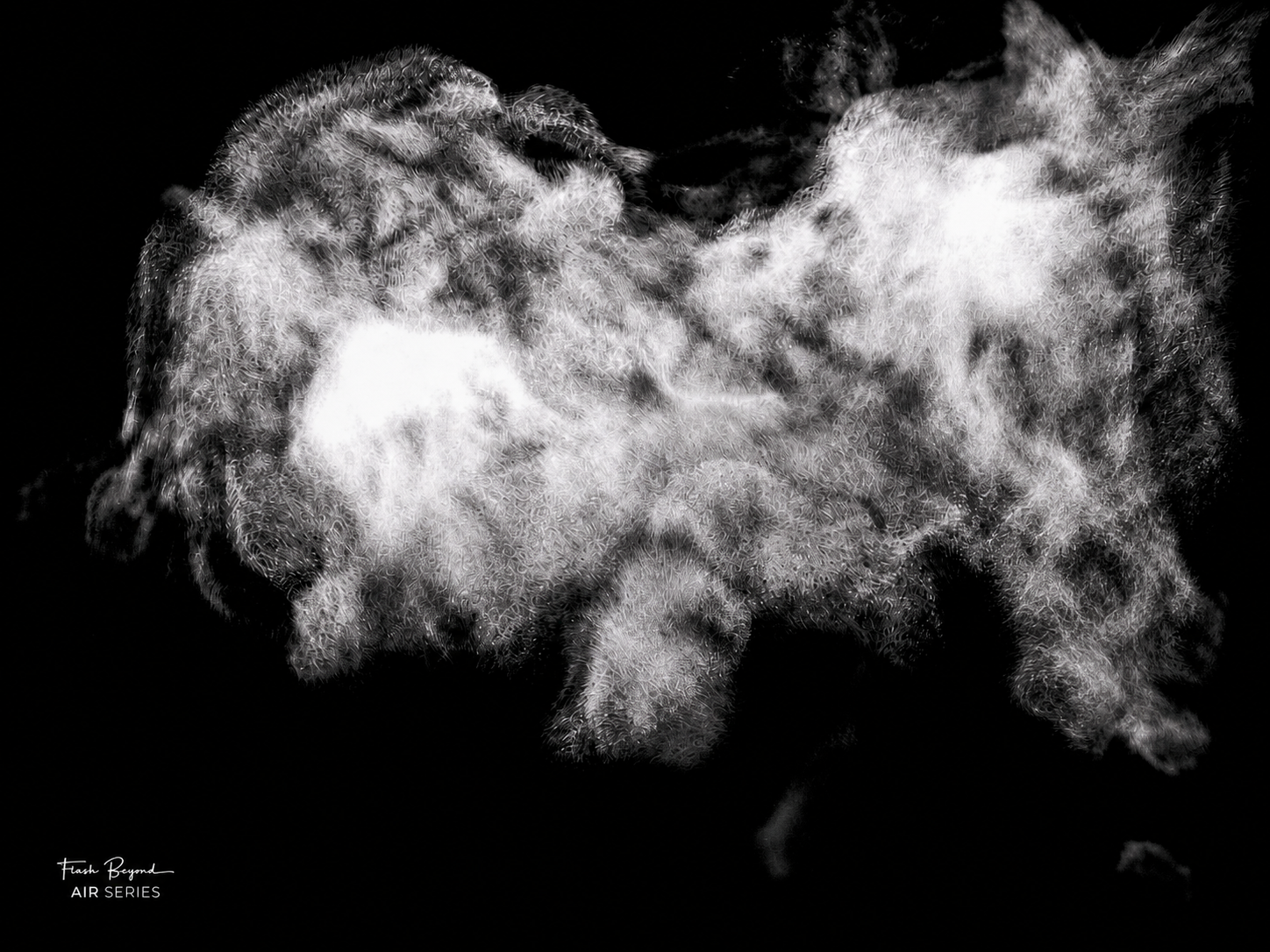 Black Flame